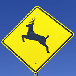 deer-sign
