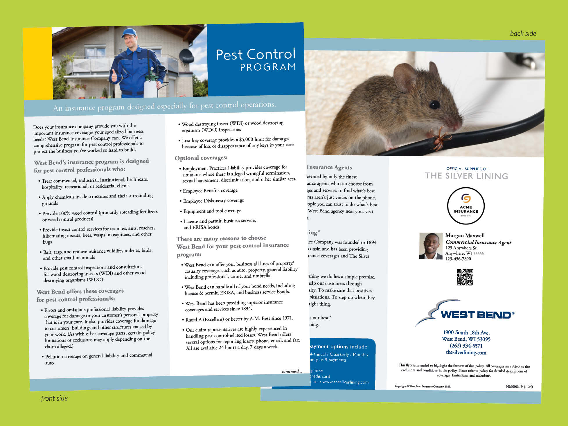 mock-campaign-flyer